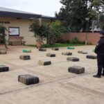 Las ofertas de la semana en el Mercado Concentrador