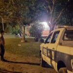 El primer remate ganadero virtual en Misiones fue un éxito