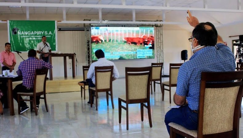 El primer remate ganadero virtual en Misiones fue un éxito