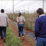 Solución a la falta de monedas: Entregan VueltoEco con semillas de hortalizas