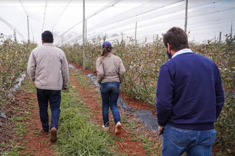 Un grupo de jóvenes apicultores proyecta instalar una sala de extracción de miel en San José
