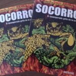 Faltante de combustible complica a vecinos en Iguazú