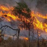 La semana próxima llegarían las lluvias y el descenso de temperatura