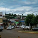 Investigan si aparecieron medusas en el arroyo de Colonia Aurora