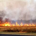 Se quemó casi un 90% de una reserva natural de Ituzaingó