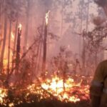 Se celebra el día mundial de los Humedales