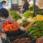 Diego Sartori cruzó a Martín Tetaz por calificar a Misiones de “vergüenza para el país”