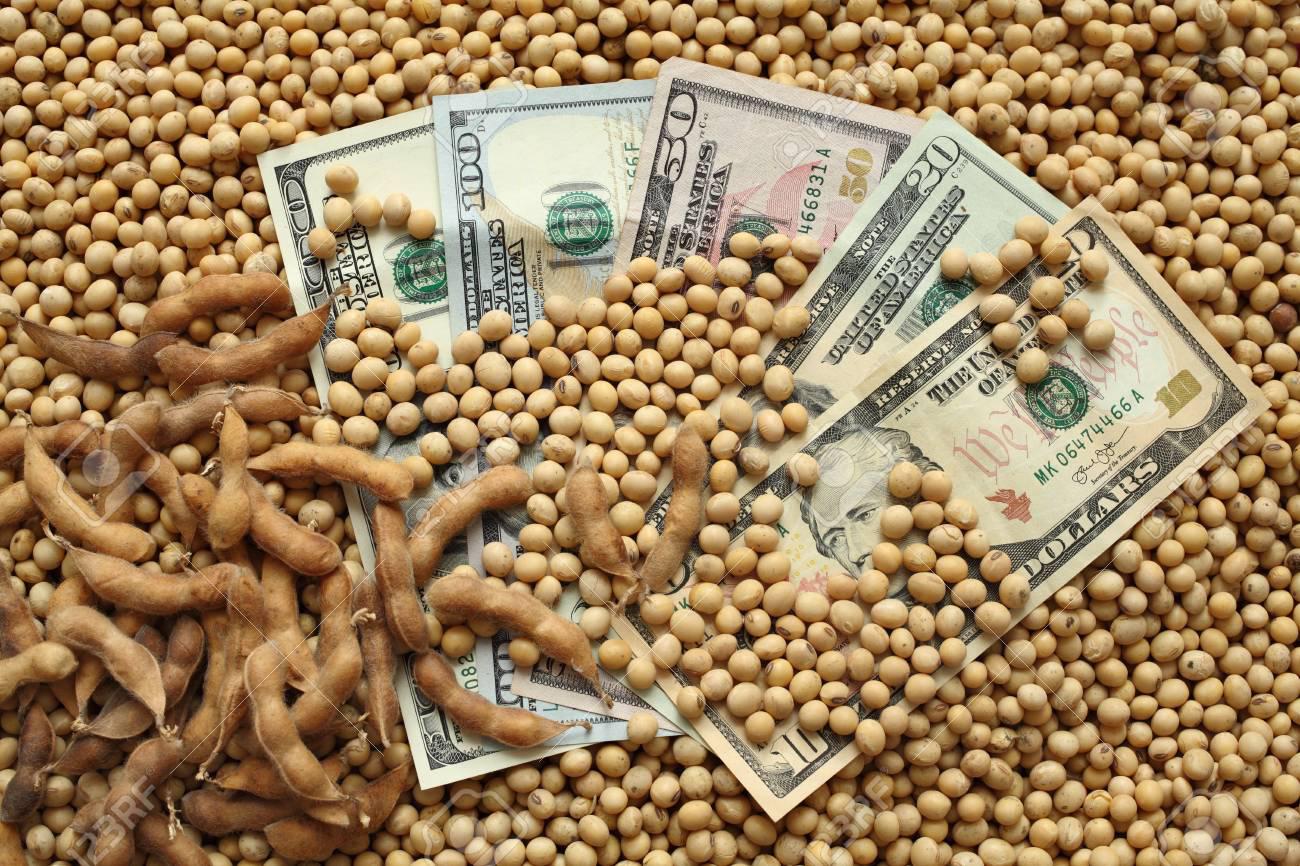 Hoy entra en vigencia el Dólar Agro: Las expectativas de la producción misionera