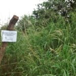 Recibió ayuda desinteresada de un chipero y ahora inicia campaña para ayudarlo con su hijo con cáncer