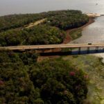 A ocho años del primer Ni Una Menos: “Cuanto más salimos a las calles vemos que de esa manera es la única que se logra un descenso”