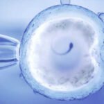 Fuerte relato de una víctima de ciberestafa por WhatsApp