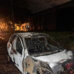 Bienestar de las mascotas: Dondé estará el IMUSA