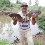 La yerba mate entre los productos para la importación