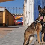 “El frío intenso no se ve en un futuro cercano”