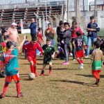 ¿Cuál es la mejor forma de absorber las propiedades de las plantas?