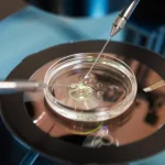 Tragedia de los chicos del Santa Maria: pericias revelan a qué velocidad iba el auto