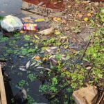 Violencia de género: hay dos caminos a seguir a la hora de denunciar