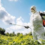 Violencia de género: hay dos caminos a seguir a la hora de denunciar