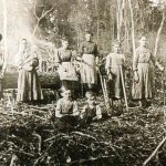 Tipos de colageno y como ayudan de forma diferente al cuerpo