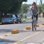 El gobierno pretende conformar una Comisión Reguladora de Yerba Mate