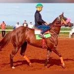 El gobierno nacional anunció la desregulación del transporte de larga distancia