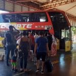 Murió una yegua en plena carrera en Posadas