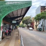 Capioví: se piden botellas plásticas para reconstruir el arbol navideño