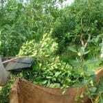 Eldorado: la familia del cabo afirma que lo asesinó un conocido