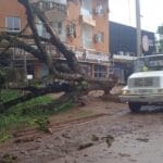 Fuerte movimiento turístico en Misiones durante el fin de semana largo