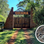 Misiones lanza un plan para refinanciar deudas de empleados públicos y jubilados