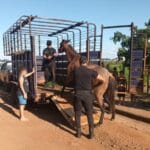 El caso Strzyzowski entra en su tramo final: hoy se conocerán las penas