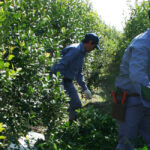Nación habilita subas de hasta 19% en los peajes de rutas nacionales