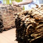 Presunto dealer fue sorprendido en plena venta y cayó con cocaína en la cintura