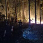 El NEA lideró la inflación en enero con 3,8%, por encima del promedio nacional