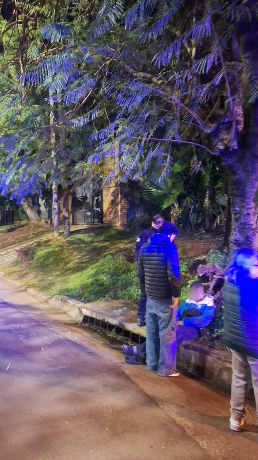 Podaba un árbol a la noche y cayó desde varios metros de altura: terminó hospitalizado en Posadas