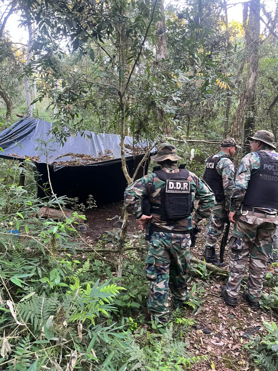 Rastrearon huellas en el monte y desmantelaron otros dos campamentos utilizados para la caza furtiva en Montecarlo